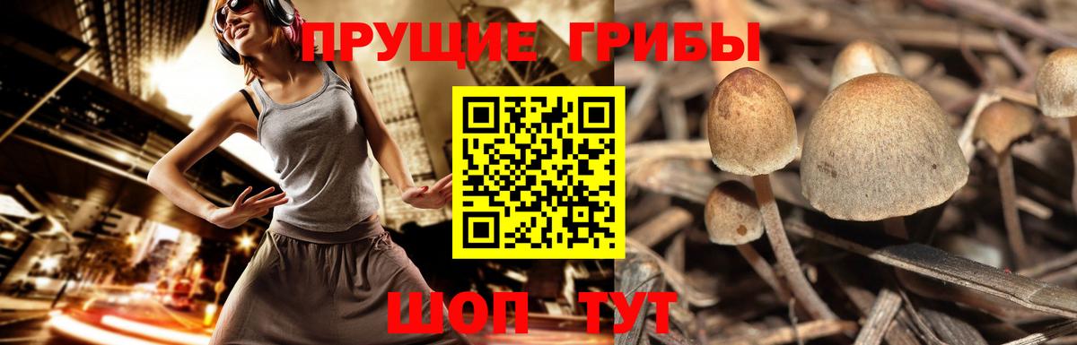Псилоцибиновые грибы Magic Shrooms  Вход с VPN  Серпухов  Псилоцибиновые грибы ЛСД 